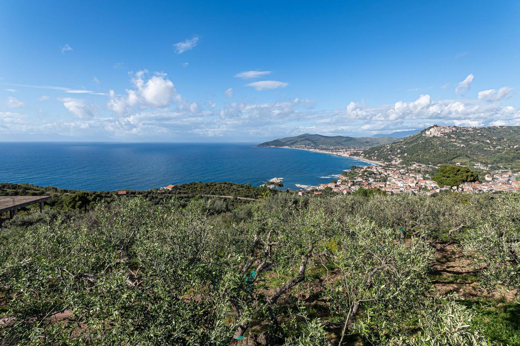 Bellezza In Cilento Panoramic Apts カステッラバーテ エクステリア 写真