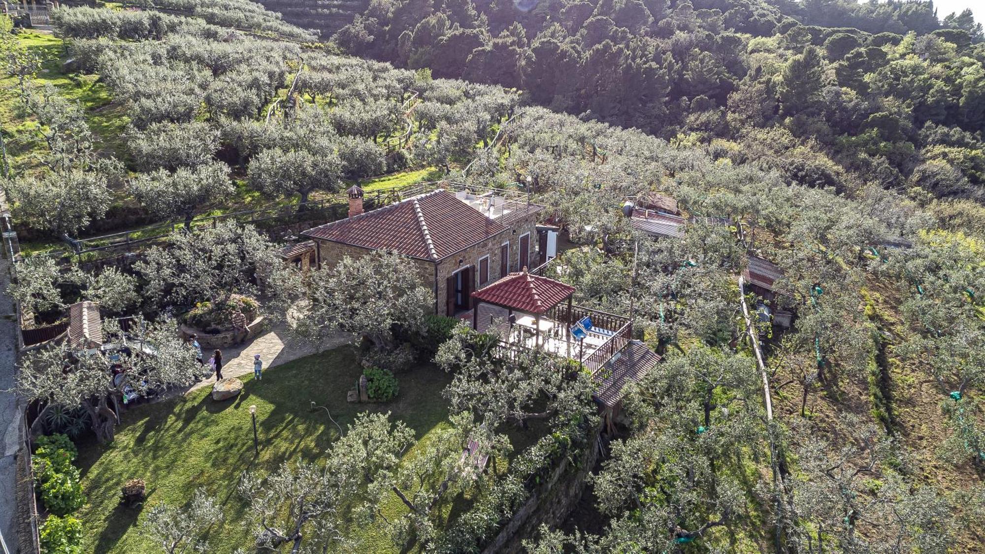 Bellezza In Cilento Panoramic Apts カステッラバーテ エクステリア 写真