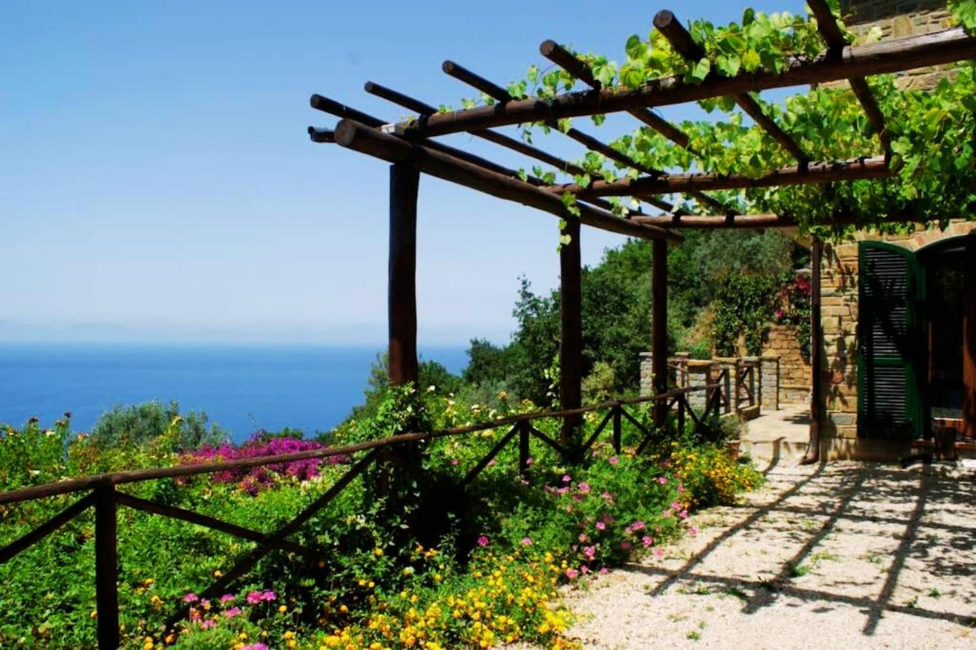 Bellezza In Cilento Panoramic Apts カステッラバーテ エクステリア 写真
